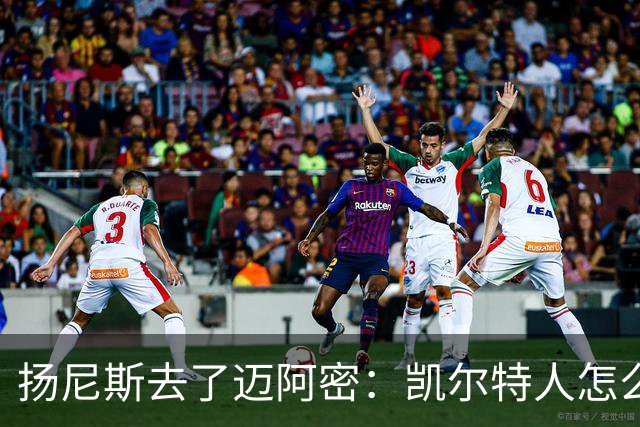 扬尼斯去了迈阿密：凯尔特人怎么办？